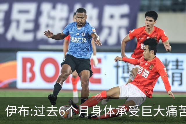伊布:过去6个月身体承受巨大痛苦 只为帮球队夺冠