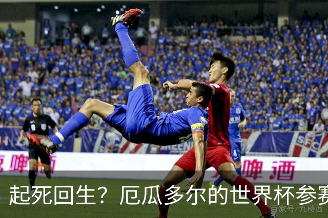 起死回生？厄瓜多尔的世界杯参赛名额可能给意大利